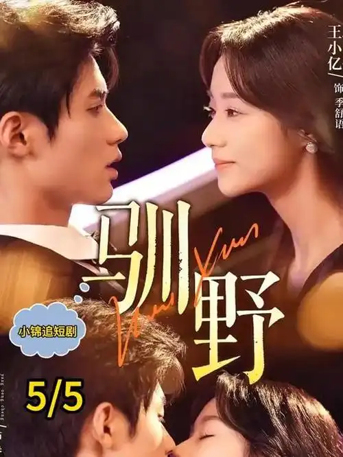 星海回声 深夜动画